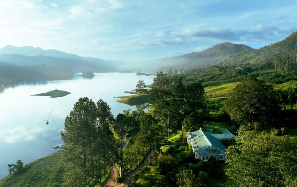 Ceylon Tea Trails